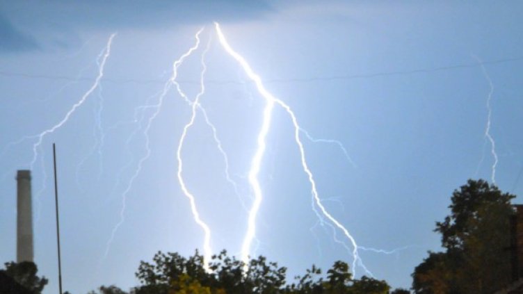 Снимка: архив Булфото