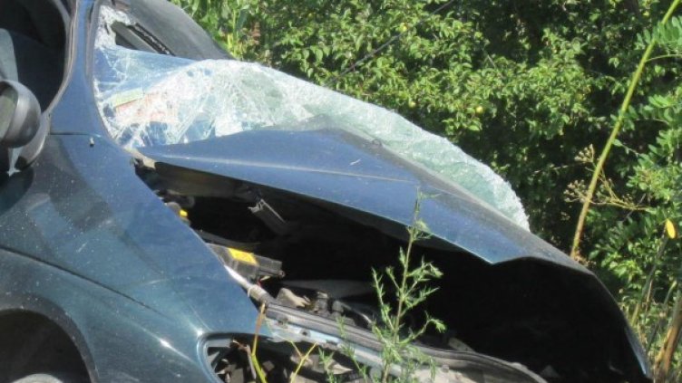 Снимка: Булфото, архив