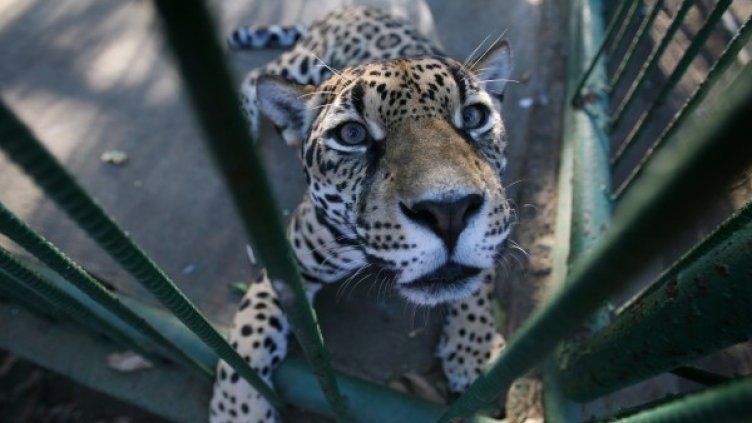 Снимка: Reuters