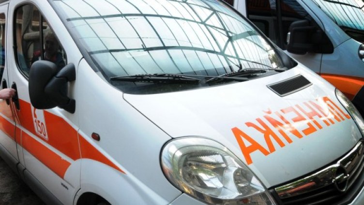 Снимка: Булфото, архив