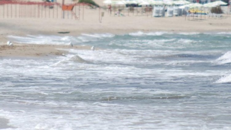 Снимка: Булфото, архив