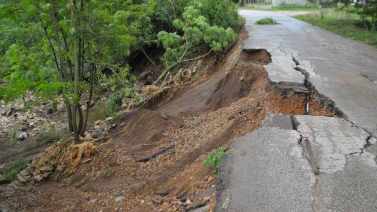 Снимка: архив Булфото