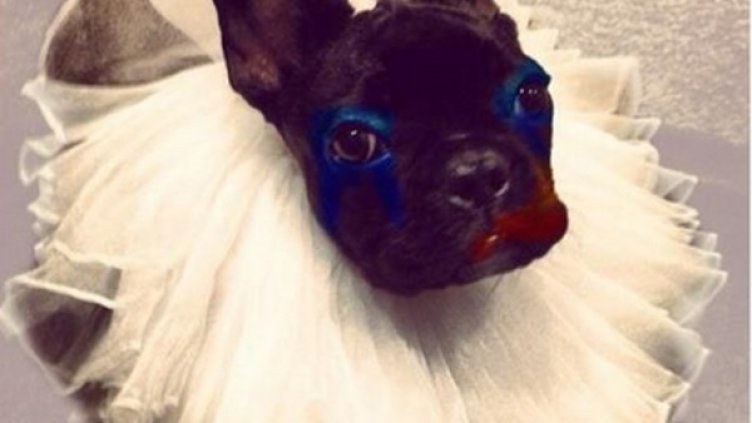 Снимка: Twitter