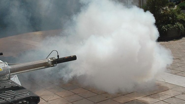 Снимка: Булфото, архив