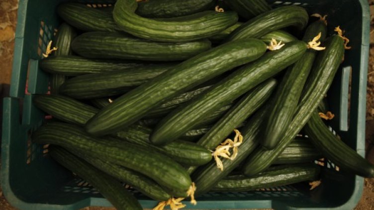 Снимка: Архив Reuters