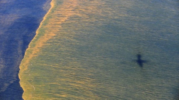 Снимка: Архив Reuters