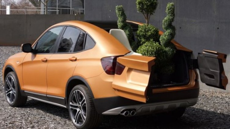 Снимкa: Clemson University