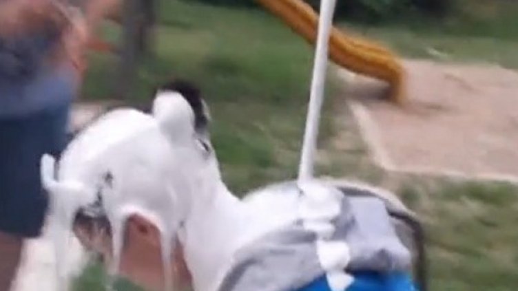 Кадър от клипа, качен във Facebook. Снимка. Нова ТВ