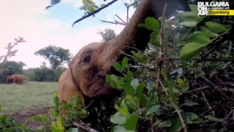 Снимка: bgonair.bg