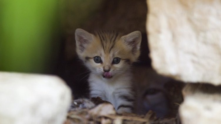 Снимка: Архив Reuters
