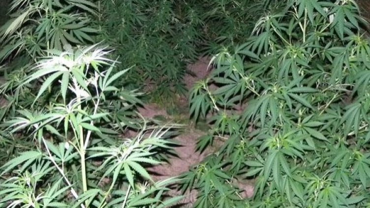 Снимка: архив, Булфото