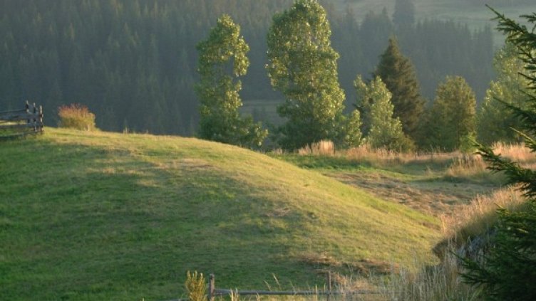 Снимка, архив Булфото