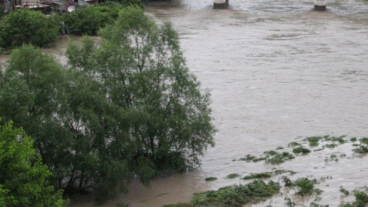 Снимка: Булфото, архив