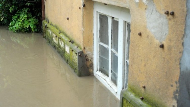 Снимка: архив Булфото