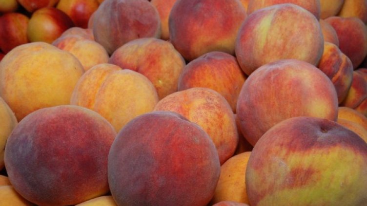 Снимка: архив, БулФото