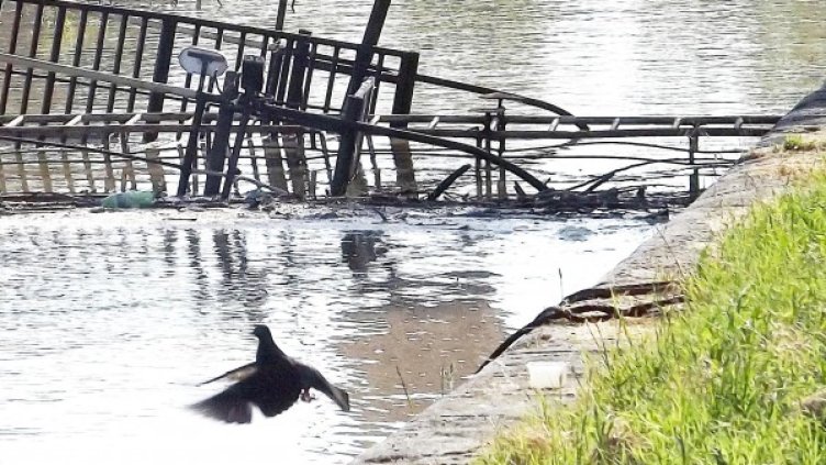 Снимка: архив Булфото