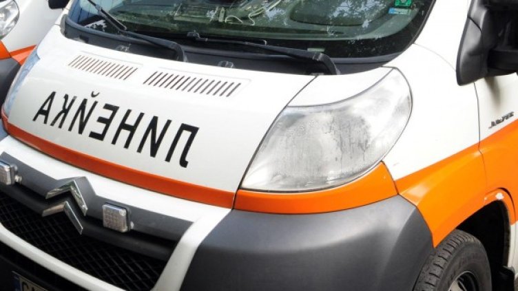 Снимка: архив Булфото