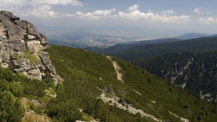 Снимка: архив Булфото