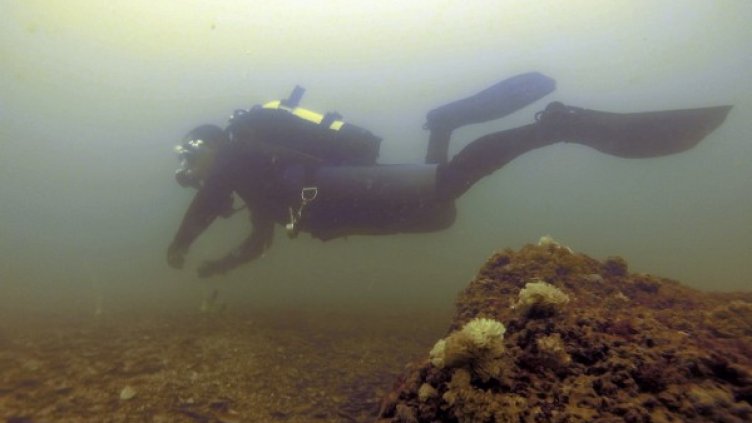 Снимка: Impact Press Group