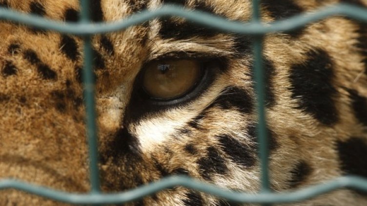 Снимка: архив Reuters