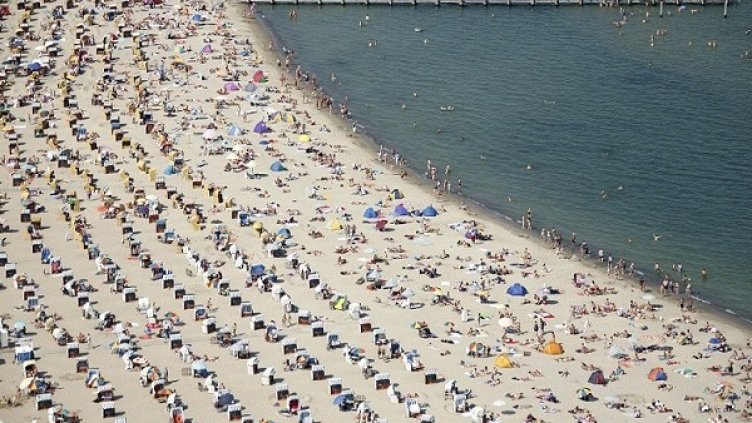 Снимка: freeimages.com