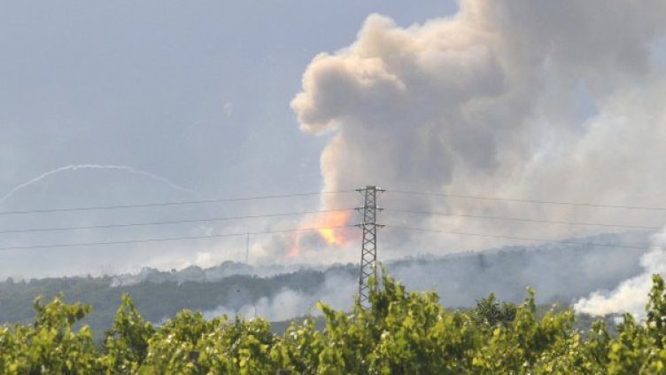 Архив: Булфото