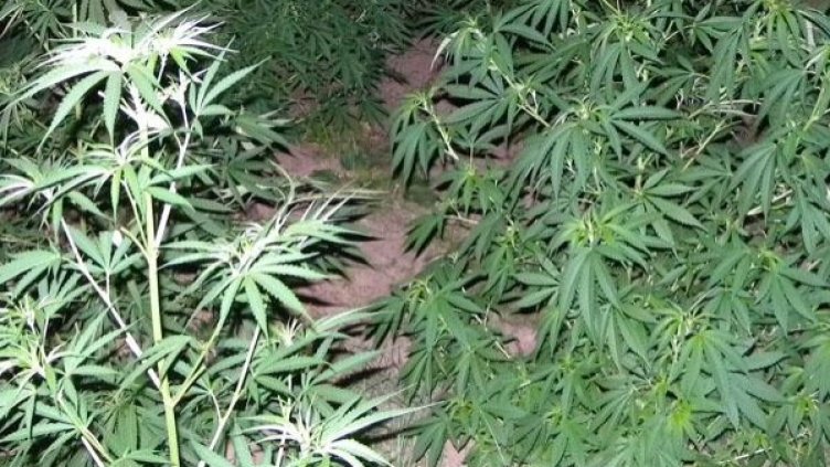 Снимка: архив, Булфото