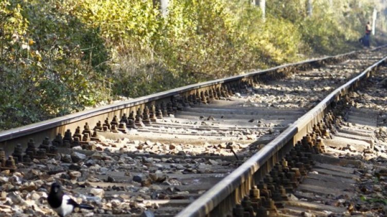 Снимка: архив Булфото