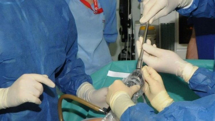 Снимка: архив Булфото