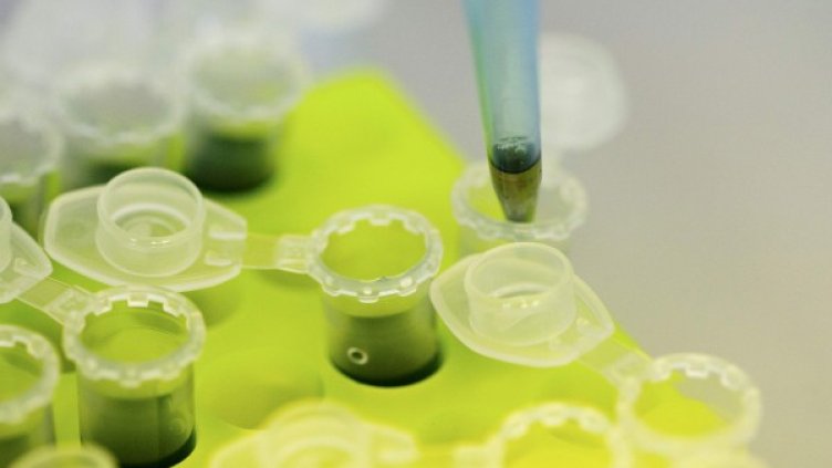 Снимка: архив, Ройтерс