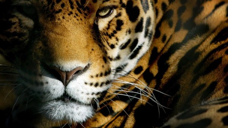 Снимка: архив Ройтерс