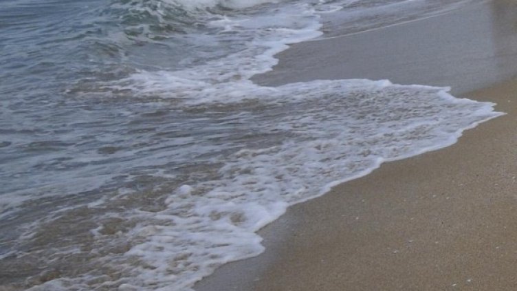 Снимка: архив Булфото