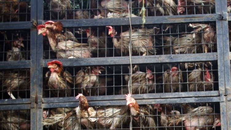 Снимка: Ройтерс, архив