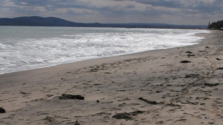 Снимка: архив Булфото