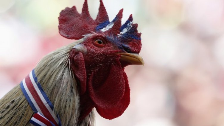 Снимка: Reuters