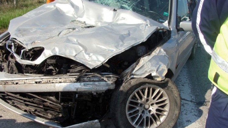 Снимка: Булфото, архив