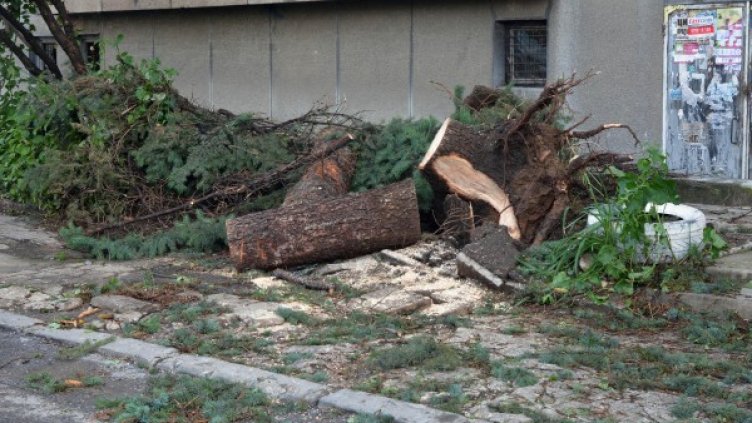 Снимка: Булфото, архив