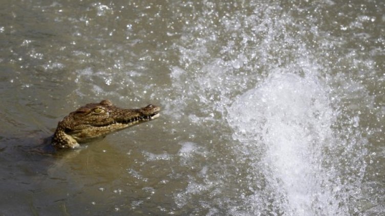 Снимка: архив, Ройтерс