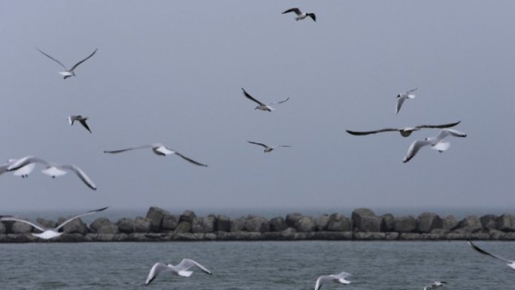 Снимка: архив, Reuters