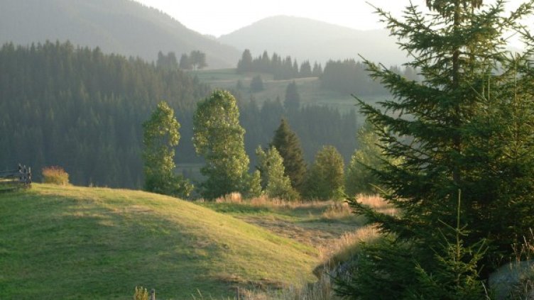 Снимка: Булфото, архив