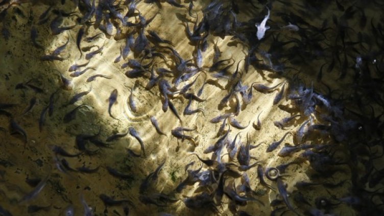 Снимка: Reuters