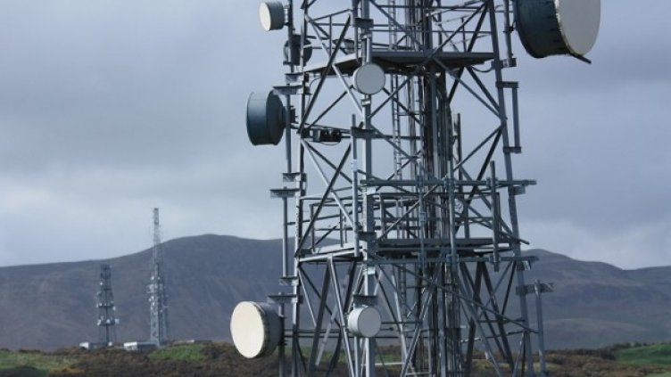 Снимка: freeimages.com