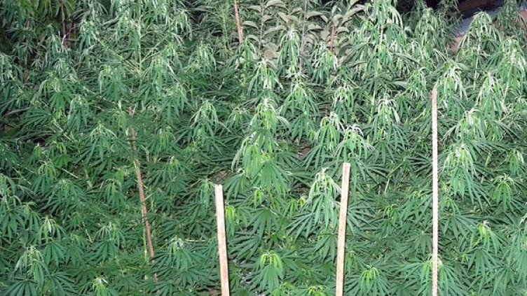 Снимка: архив, Булфото