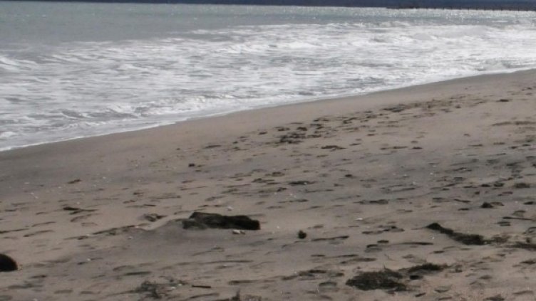 Снимка: архив Булфото