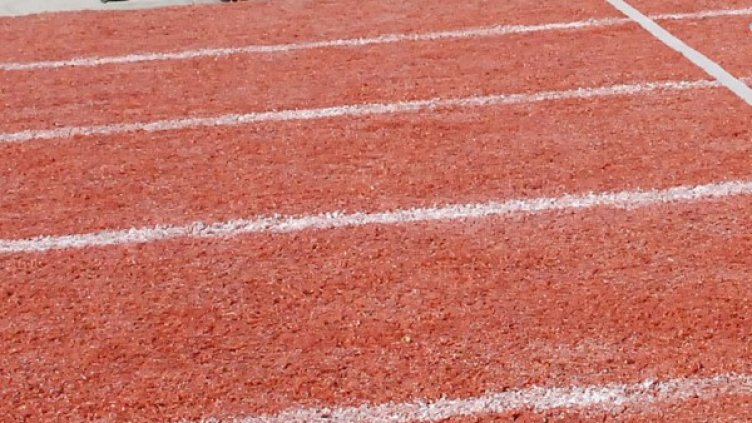 Снимка: архив Булфото