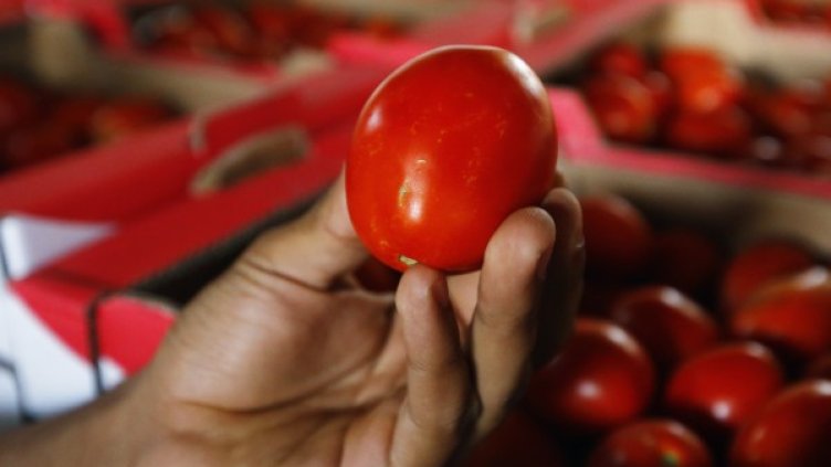 Снимка: Reuters