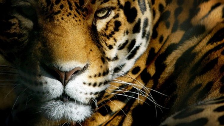 Снимка: архив, Ройтерс