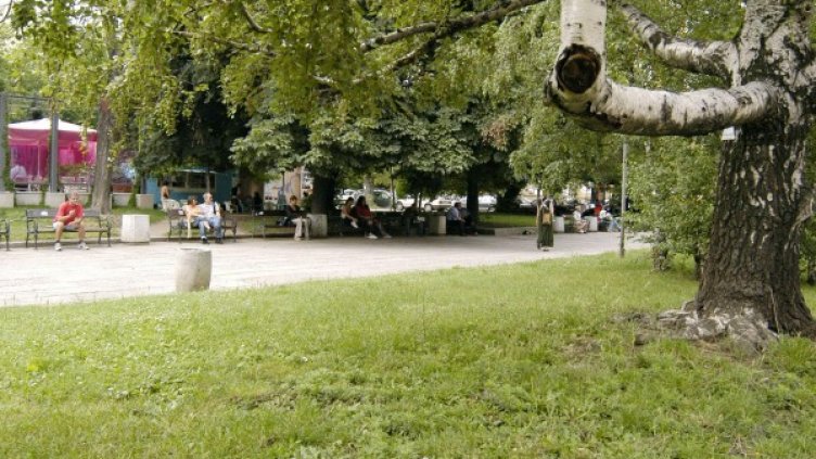 Снимка: архив Булфото