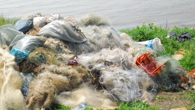 Снимка: Булфото, архив