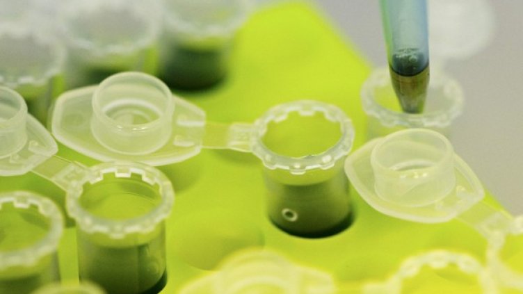 Снимка: архив, Ройтерс